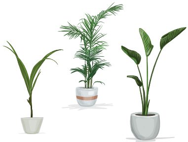 propagation-guide-image Propagation Guide Image