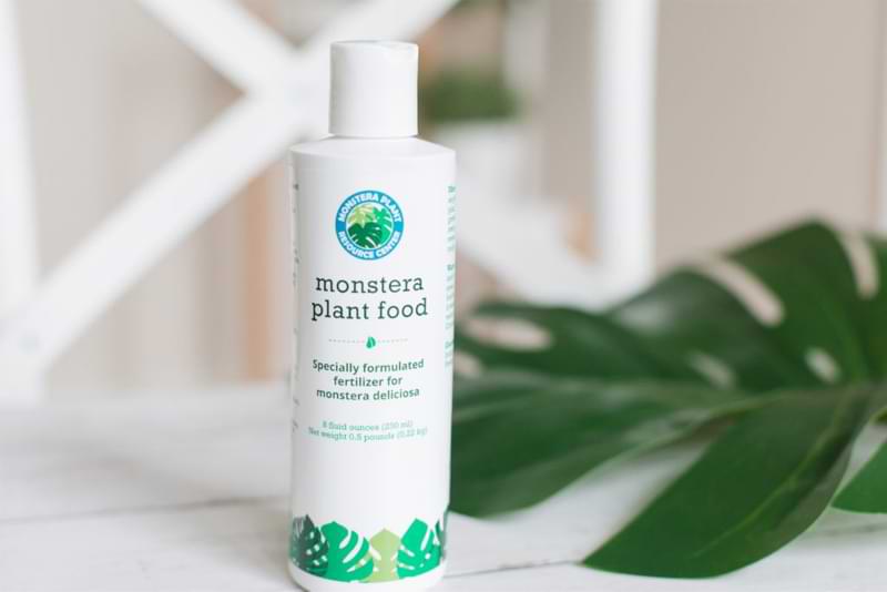 Monstera Plant Food