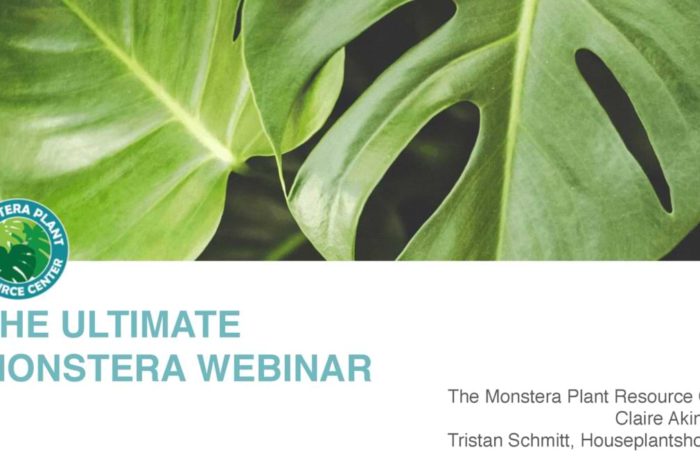 Monstera Webinar