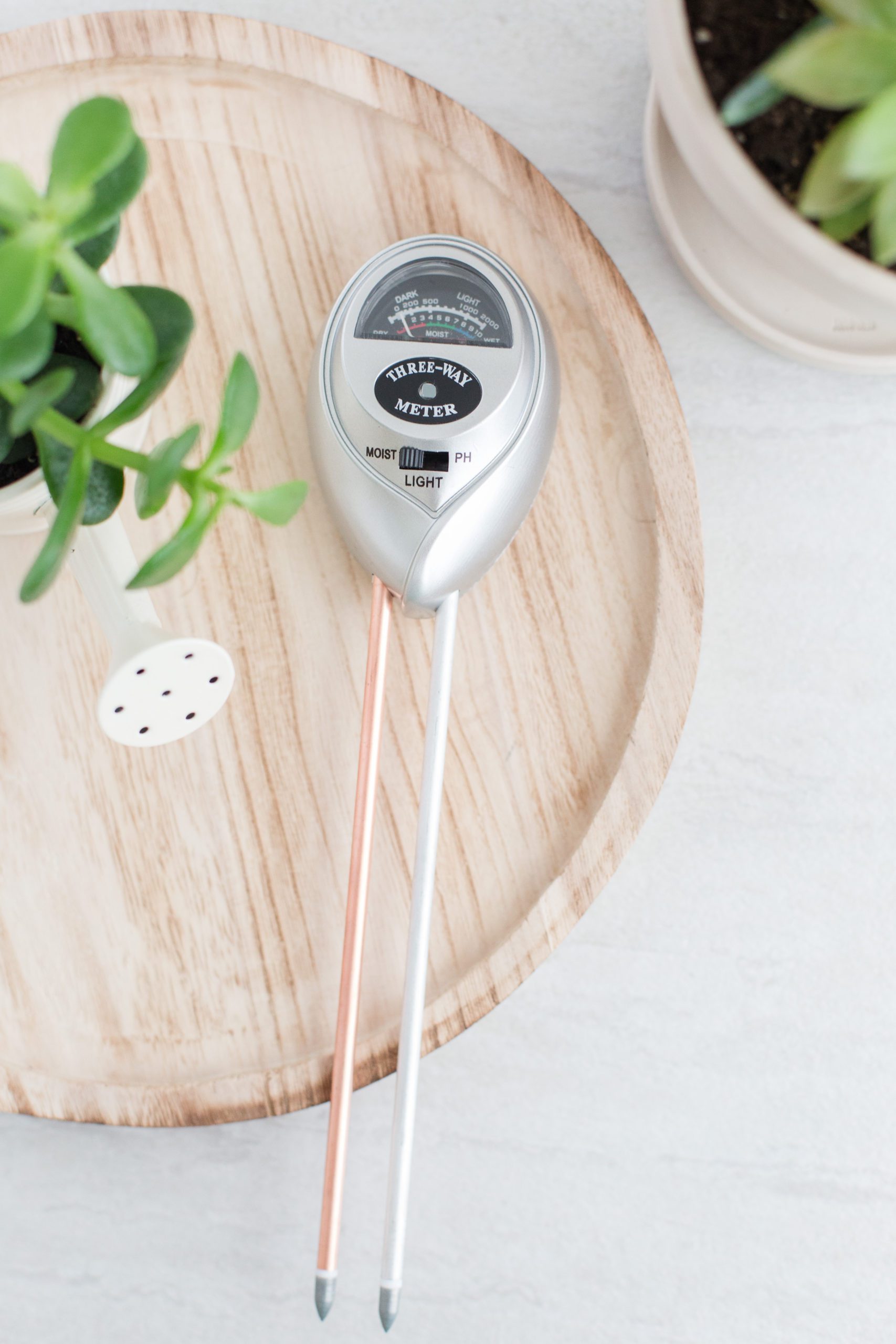 monstera moisture meter