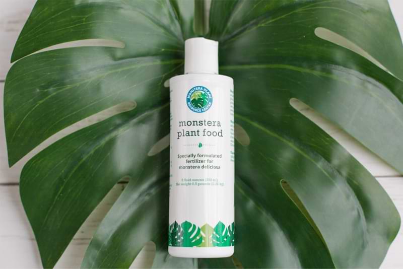 Monstera Plant Food is the perfect NPK ratio for all monstera varieties
