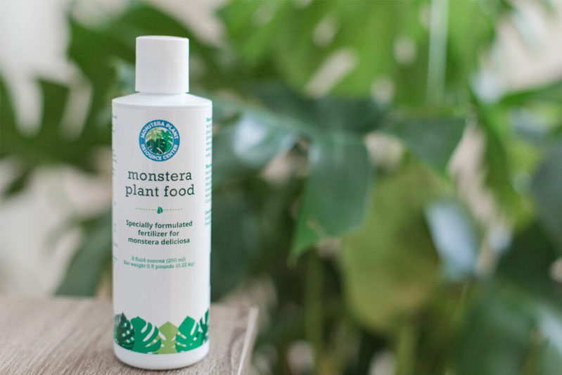 Monstera Plant Food