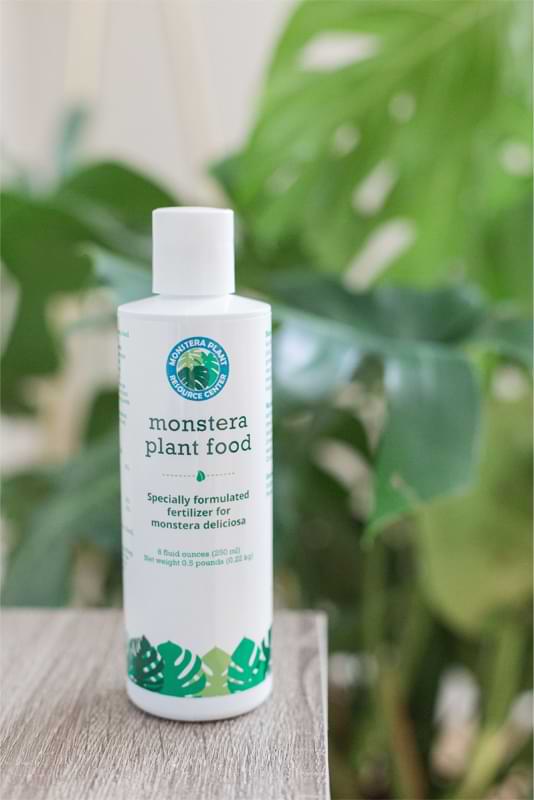 Before you begin, it's important to have all the supplies you'll need on hand for propagating Monstera in water