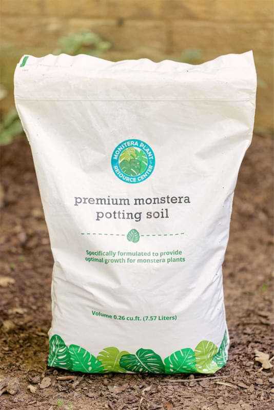 Monstera Pot Size and Best Soil