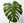 small-logo-monestra